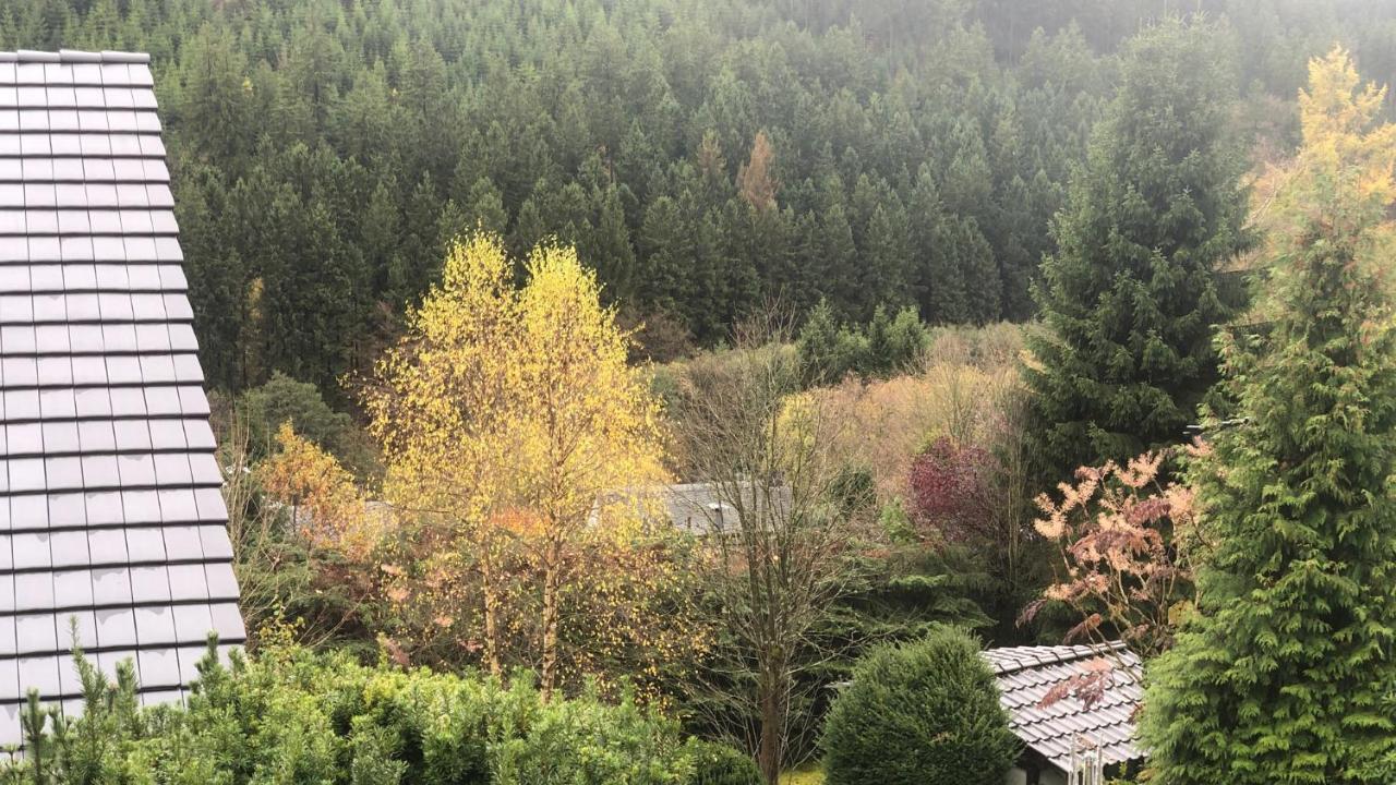 Fewo Berg Idyllika Willingen  Exterior foto