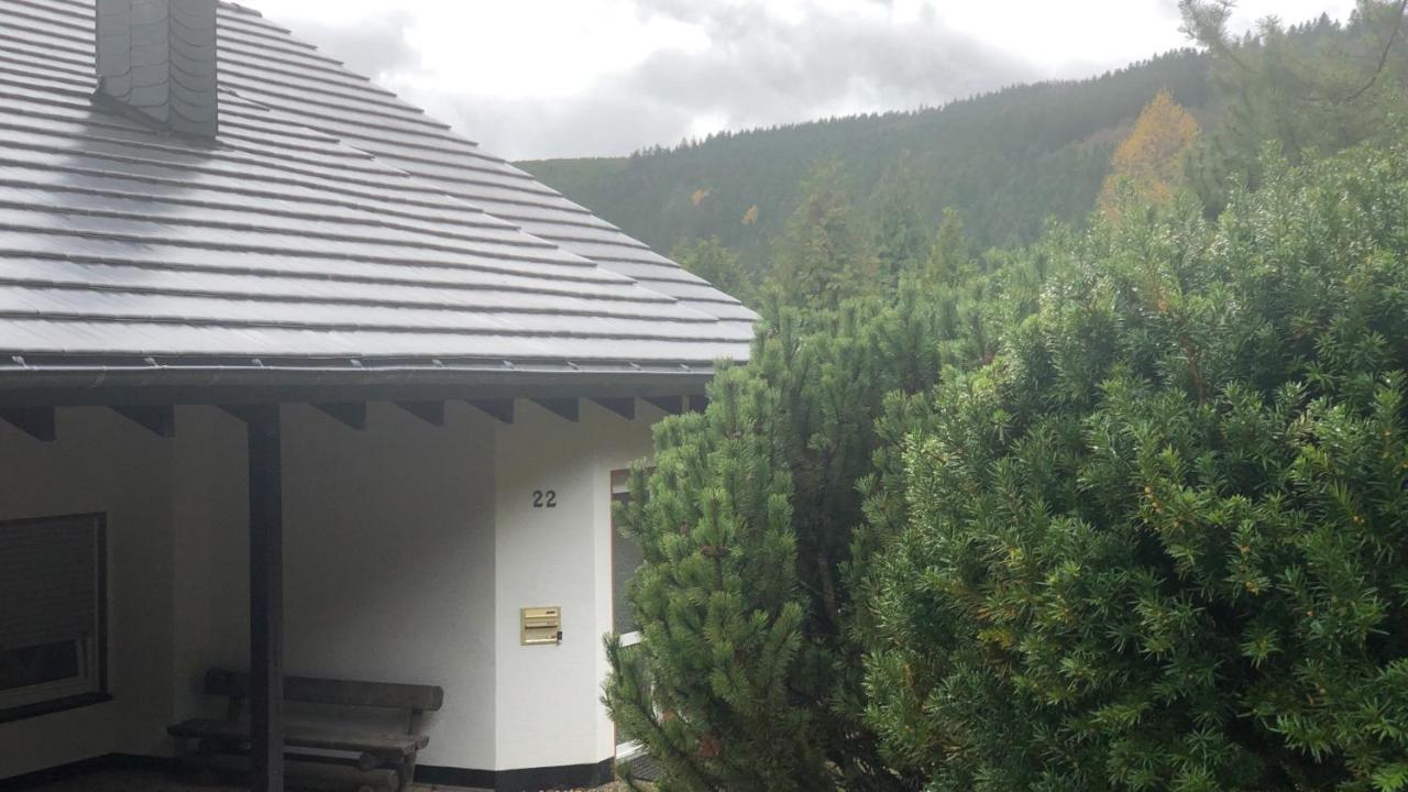 Fewo Berg Idyllika Willingen  Exterior foto